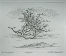 Lot frygany (19,5x24,5 cm)