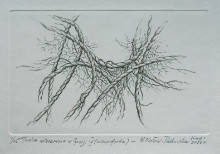 Tańce wieczorne w Grecji IV (12,5x19,5 cm)