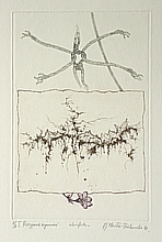 Rozsypanie wspomnień (24,5x16,3 cm)