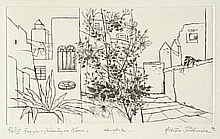 Grèce – jasmin à Naxos