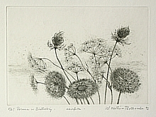 Polana w Białowieży (17x24 cm)
