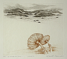 Trop loin pour y allez