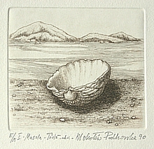 Muszla – łódź ( 8x9 cm)